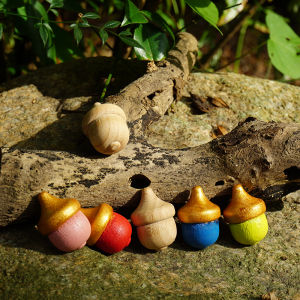 Acorn Pet Toy Log Beech Open Building Blocks Handmade DIY Painted Toy Crafts Home Decoration