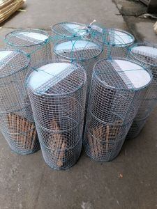 Lợp Ếch bẫy ếch lưới chì chống gỉ sét.
