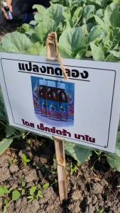 [ชุดสุดคุ้ม 4แถม2] Dose โดสเอ็กซ์ตร้านาโน  เพิ่มผลผลิตข้าว ข้าวโพด มัน อ้อย ผลไม้