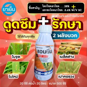 เชื้อรา 2 พลังบวก แอนบีม (ไตรไซคลาโซล+เฮกซะโคนาโซล) 500 ซีซี : ดูดซึมและยับยั้งเชื้อรา