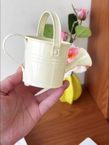 Metal Watering Can Small Lightweight Anti-corrosion Spraying Pot for Outdoor Garden Vegetables Indoor House Plant Care