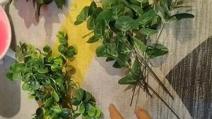Lá hoa hồng lá táo hoa điểm nhí bó hoa trang trí decor