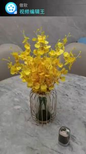 Nordic Wrought Vase & Golden Hydroponic Glass: Living Room & Dining Table Decor