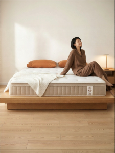 Spinal Care Latex Coir Spring Mattress