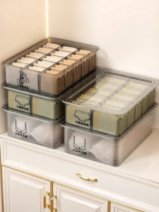 FUXINZHI | Multi-functional Intimate Apparel Storage Box