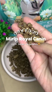 DR PAW Dry Food Kucing 1 Kg Kesehatan Bulu Kucing Junior Dewasa