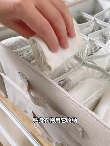bicoy | Storage Divider Organizer Box For Underwear Socks