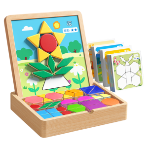 TONGMUXING | Intelligence Training Magnetic Puzzle Building Blocks