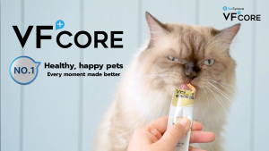 [10/20/30 ซอง] VF+ Core อาหารเสริมรูปแบบขนมแมวเลีย เสริมวิตามิน เสริมภูมิคุ้มกัน ซองขนาด 12 กรัม