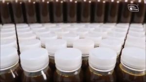 KUMIS KUCING & HIU ARUM HERBAL INDO UTAMA: Solusi Alami untuk Berbagai Penyakit