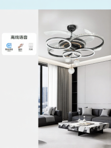 OSIZA | 2026 New Invisible Light Luxury Living Room Fan Chandelier