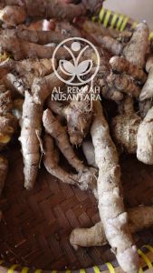 Temu Giring Segar Organik 1 kg- Gunung Kidul