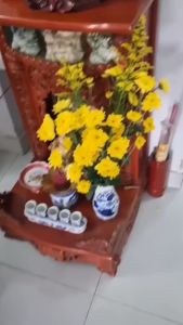 Nước dưỡng hoa Dr.Natro 300ml giúp hoa tươi lâu đến 10-15 ngày