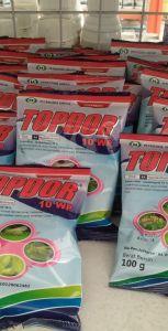 Insektisida TOPDOR 10 WP (100"gr) Basmi Wereng Belalang Kutu Thrips Lalat dll