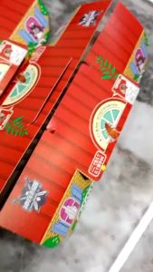 [BERKESAN] Perangkap Cicak Dan Lipas Berkesan / Cockroach and Lizard Sticky Glue Trap /  壁虎蟑螂屋 1pcs