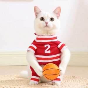 Cat Cosplay Costume For Small Medium Cats Dogs Funny Dress Up Kitten Clothing Funny Sphynx Bulldog Clothing Pet Jacket Outfits