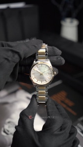 Jam Tangan Pria Bonia Thomas 10863-1112 Silver Dial Dual Tone Stainless Steel Strap