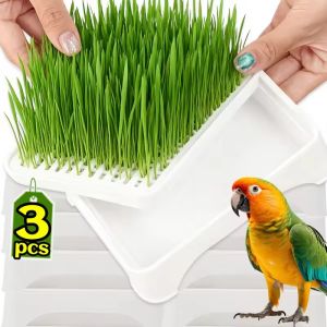 3pcs Plastic Grow Nursery Pots Cat Grass Germination Tray Pet Parrot Grass Soilless Hydroponic Bean Seedling Tray Garden Supplies