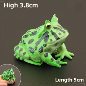 Solid Animal Model Realistic Simulation Amphibian Toy Cognitive Learning Gift Decorative Bichir Wealth Attracting Frog Display