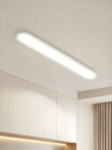 DGY | Modern Minimalist LED Ceiling Light