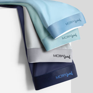 MiiOW [Store] 4Pcs Lot Men Boxer Shorts Graphene Antibacterial Ice Silk Underwear Man Boxershorts Seamless Breathable Male Panties L-5XL M1511