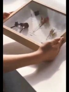 Valentines Day Gift Photo Frame with Led Light Shadow Box Frame Dried Flower Collection Display Multipurpose Shadow Box DIY Display Box Suitable for Dried Flowers Tickets and Photos Plant Pins Medals