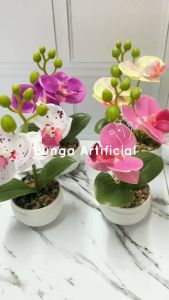 FOREVER - Bunga Anggrek Mini Hias Dengan POT Bunga Phalaenopsis Dekorasi Rumah - 146N