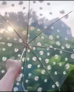 Dù Trẻ Em Gấp Gọn Họa Tiết Hoa Dandelion Màu Trắng