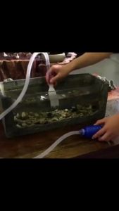 ถ่ายน้ำตู้ปลา เปลี่ยนน้ำตู้ปลา ทำความสะอาดตู้ปลา