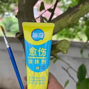 100g Tree Wound Bonsai Cut Paste Smear Agent Pruning Compound Sealer with Brush Grafting Pruning Sealer Tree Repair Ointment