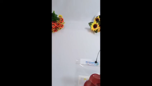 Hampers Tote Bag Lukis Painting Kit Tas Tote by GHEduPlay