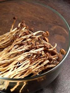 FB DRIED MUSHROOM 福铭茶树菇100G