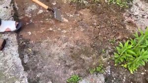 Weed Cleaning Shovel Weeding Deicing Remove Farm Manure Shovel Sharp Edge Saw Blade Steel Blade Garden Hand Tool