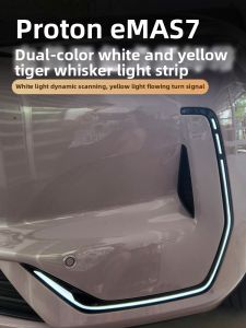 BX | Car Turn Signal Light for Proton eMAS7 Geely EX5 C-type