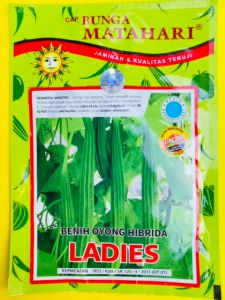 Benih Gambas LADIES isi 10gram dari Cap Bunga Matahari