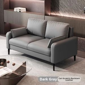 Modern Simple Style Sofa