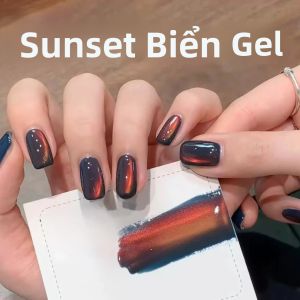 1 Chai Sơn Móng Tay Gel Mắt Mèo WS 2025 Hiệu Ứng Hoàng Hôn Biển Làm Trắng Nhiều Màu Sắc Chuyển Màu Dần Bóng Satin Hạt Thủy Tinh Mịn Dụng Cụ Trang Trí Móng Tay 10ml