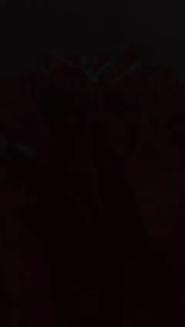 Setelan Cina Anak perempuan Rok Balon Motif Lucu Ready Usia Anak 6 Bulan-7 Tahun Terbaru Motif Lucu Free Tas Cantik