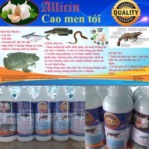 Men tỏi - allicin x5 [gấp 5 lần] tăng cường hệ miễn dịch phòng và trị bệnh trên thủy sản và vật nuôi