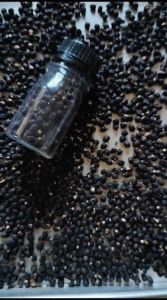ANGKUNG (ANGKONG)KERING OBAT STROKE