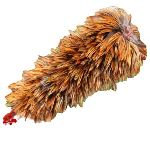 True Feather Duster Dust Sweeping For Home Retractable Lint-Free Car Cleaning Cleaning Anti-Static Dust Removal Duster