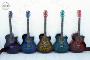 Eunoia 40 inches Acoustic Guitar with Trusssrod and 4 Way Band Equalizer Plus Freebies