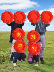 LIANFEIQING | Sunflower Performance Prop