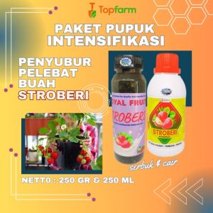 Pupuk Stroberi Berbuah Lebat / Pupuk Booster Stroberi / Pupuk Pelebat Buah Stroberi / Pupuk Pembesar Buah Stroberi / Pupuk Penyubur Stroberi