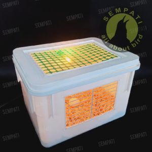 SEMPATI Box Burung Kotak Ternak Breeding Burung Parrot Lovebird Murai Kenari Ruang Hangat Terrarium Fullset Plus Lampu Serbuk Kayu Alas Kandang Ram Kawat Plastik Tempat Lolohan Anakan Burung - Lazada
