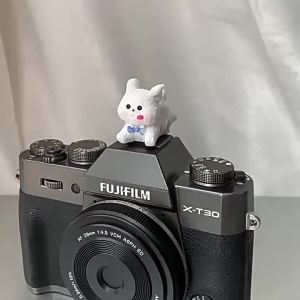 Cute Happy Dog kept for payment Series Hot Shoe Cover for Leica Q2 Fuji X100V X-T5 Sony ZV-1 Canon EOS R5 Nikon Z5 Camera Access