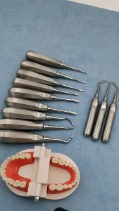 GULPOOE Dental Extraction Elevator Stainless Steel Tooth Stright Curved Root Elevator Minimally Invasive Dentist Surgical Tool