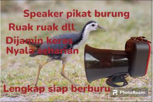 Speaker Pikat Burung Ruak Ruak Bluetooth Cas Mudah Memori 1GB