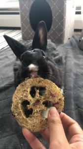 Carrot-Banana Infused Loofah Chew Pack | No Furries Delights | Oat-Free Chew Treats or Toys for Small Animals & Birds