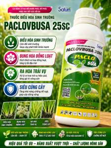 Điều hoà sinh trưởng PACLO 250SC (chai 1 lit) - Paclobutrazol 250 g/l Kích ra hoa đồng loạt phân hoá mầm hoa chặn đọt ra hoa trái vụ